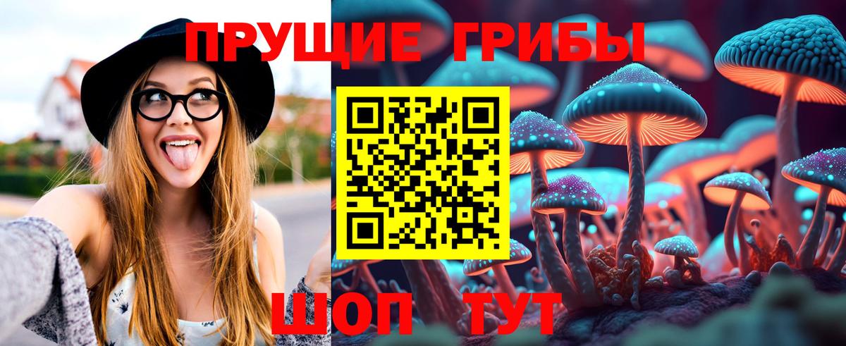 Галлюциногенные грибы Psilocybine cubensis  Вход с VPN  Оренбург 